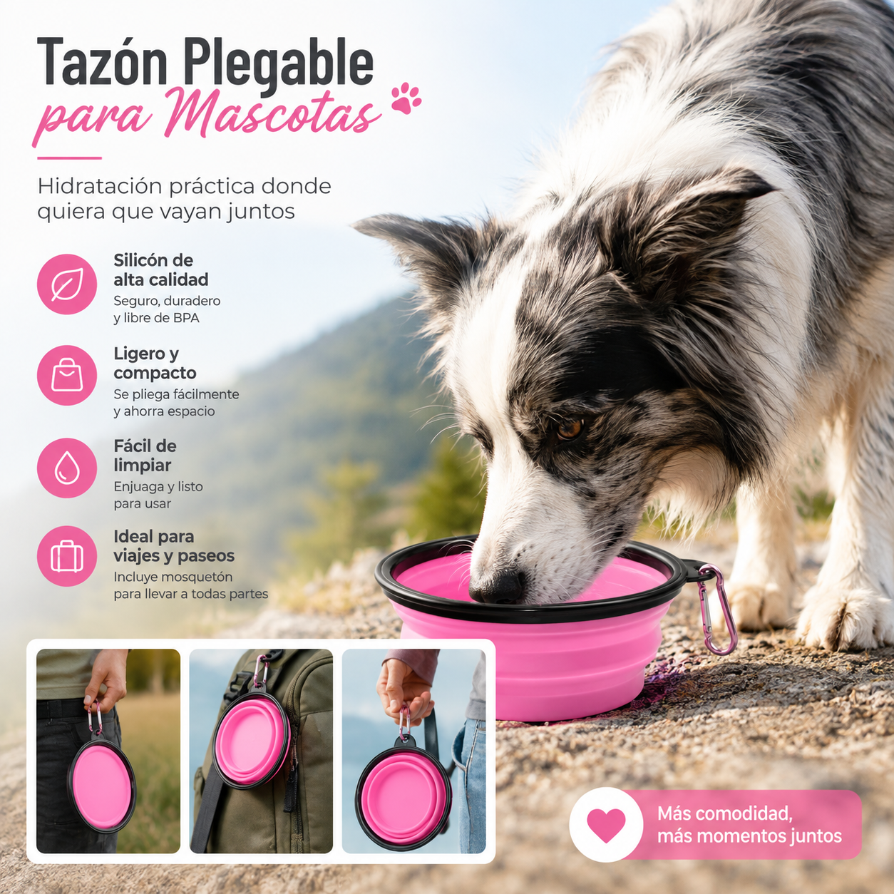 Tazon Plegable Chico 350ml Para Mascota