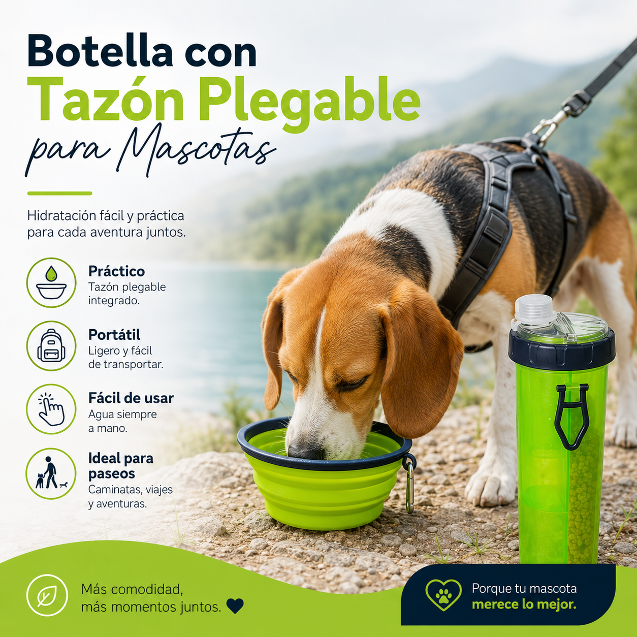 Vaso Para Croquetas y Agua + Plato Plegable de Silicona Chico