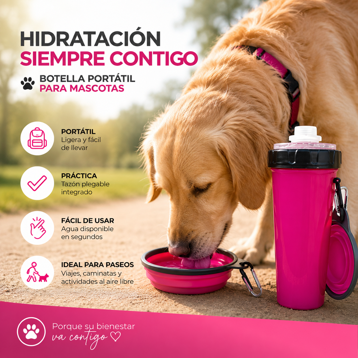 Vaso Para Croquetas y Agua + Plato Plegable de Silicona Chico