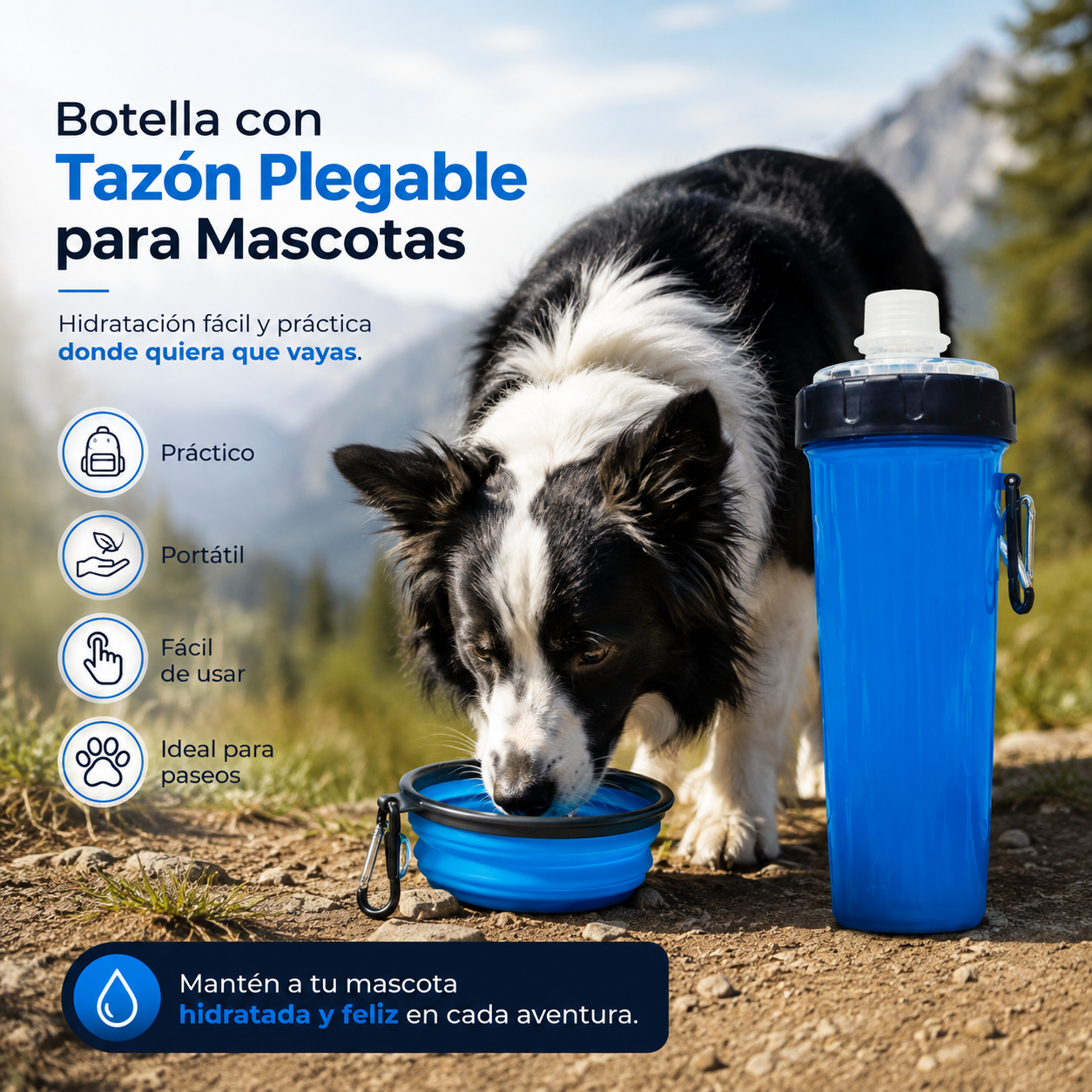 Vaso Para Croquetas y Agua + Plato Plegable de Silicona Chico